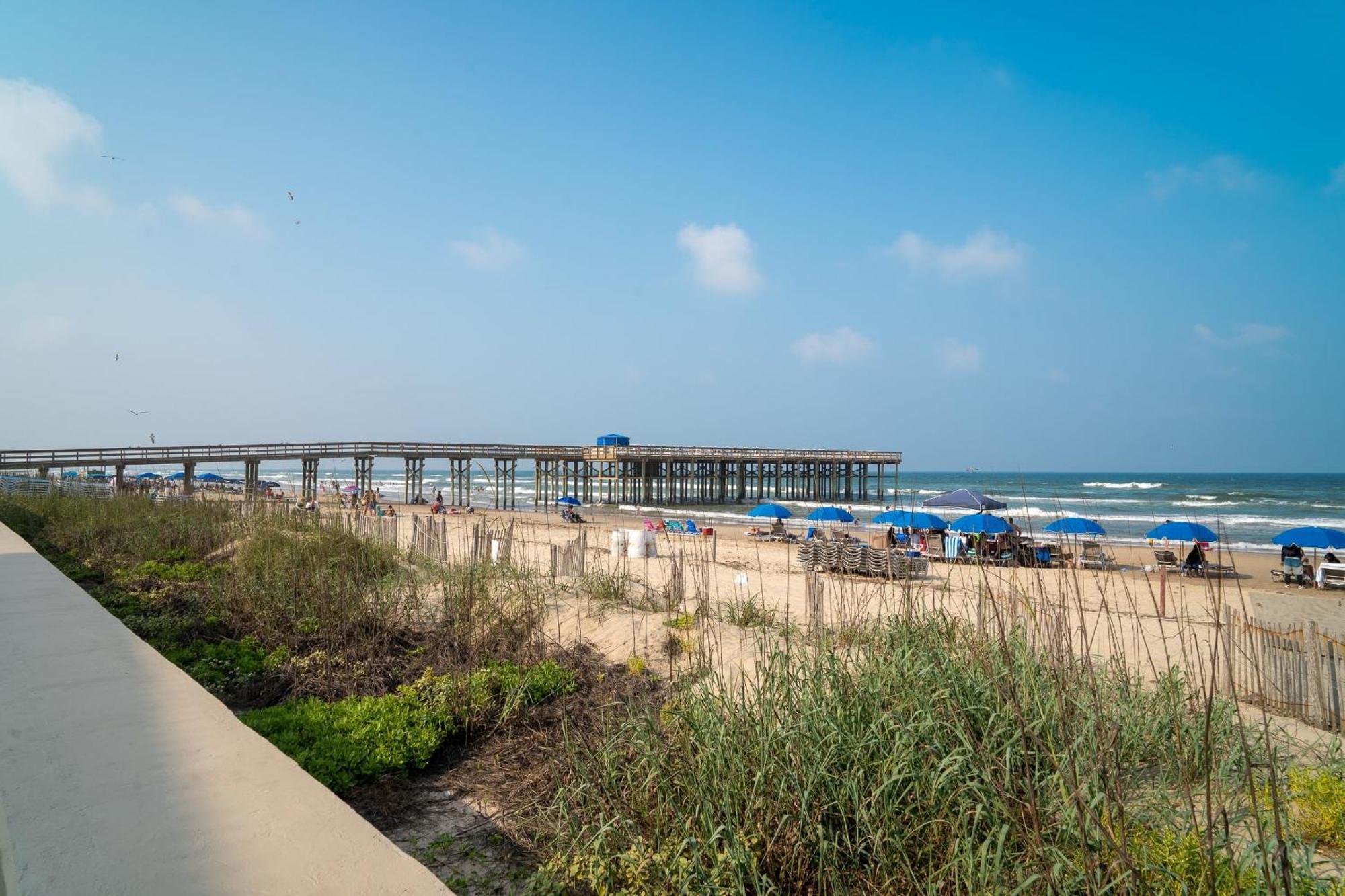 Toucans Retreat Tranquil 1Br Condo With Patio 102 South Padre Island Exterior foto